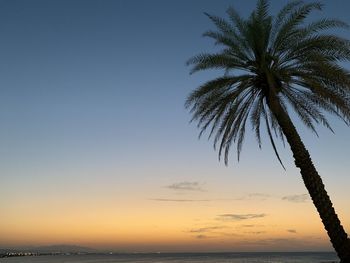 Silhouette palm tree by sea against sky during sunset