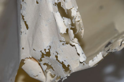 Close-up of ice cream