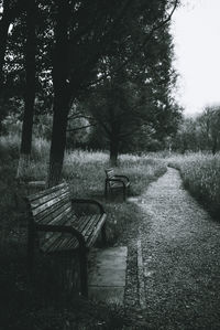 Empty bench in park