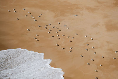 High angle view of people on beach