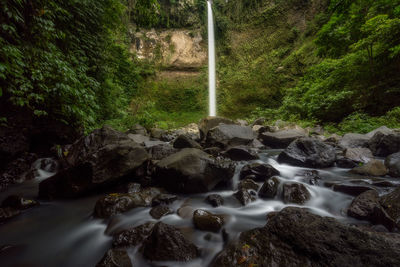 Scenic view of waterfall in forest