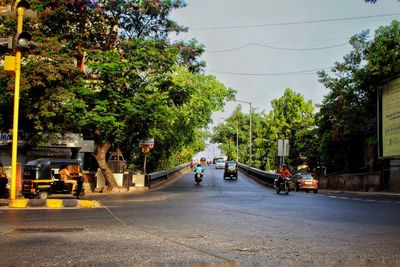 Vehicles on road along trees in city