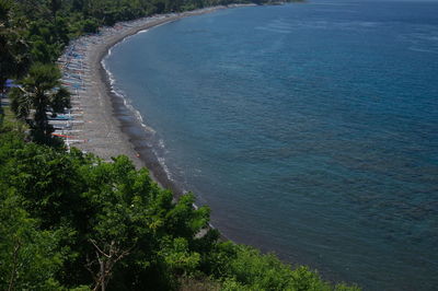 High angle view of trees by sea