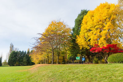 Trees on field against sky during autumn