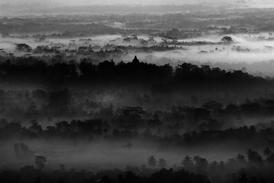 Borobudur is the largest buddhist temple in the world, built at 8th is located in central java