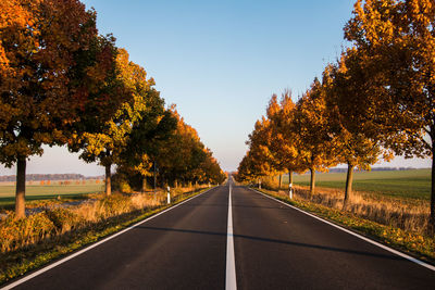 Road amidst trees against sky during autumn