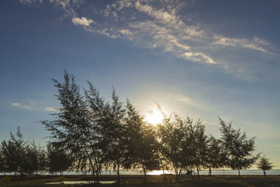 Low angle view of silhouette trees against sky during sunset