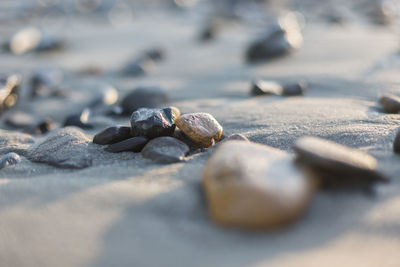 Close-up of pebbles on beach