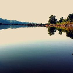 Reflection of trees in calm lake