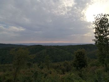 Scenic view of landscape against sky