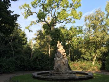 Trees in park