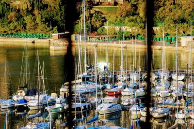 Boats moored in lake against trees