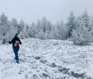 Person snowshoeing on snow covered land