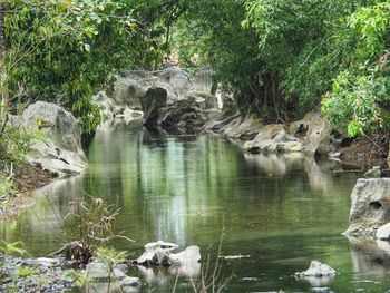 River flowing through rocks