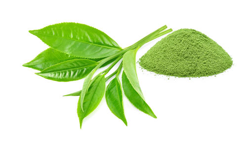 Close-up of fresh green leaves against white background