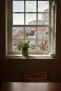 Potted plants on window sill