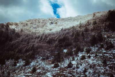 Low angle view of tree mountain against sky