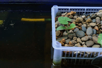 High angle view of food in container