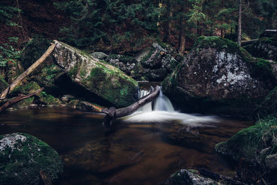 Stream flowing through rocks in forest