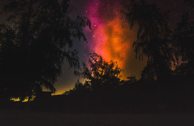 Silhouette trees against sky at night
