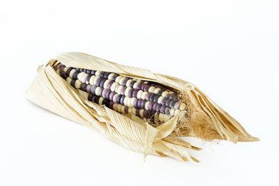 High angle view of bread against white background