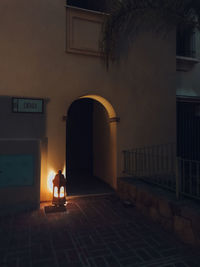 Rear view of man standing at entrance of building