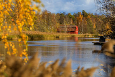 Scenic view of lake in forest during autumn