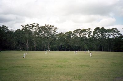 Trees in park against cloudy sky