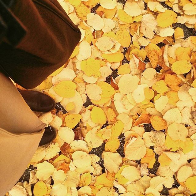 low section, person, lifestyles, standing, shoe, high angle view, men, part of, leisure activity, dry, leaf, unrecognizable person, human foot, autumn, personal perspective, outdoors