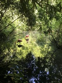 People in a forest