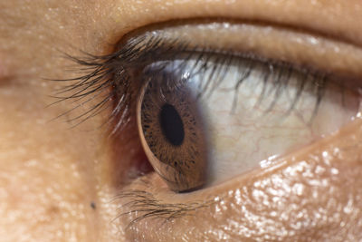 Close-up of human eye