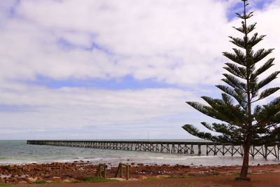 Palm trees by sea against sky