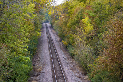Railroad tracks amidst trees during autumn