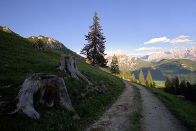 Road amidst trees against sky
