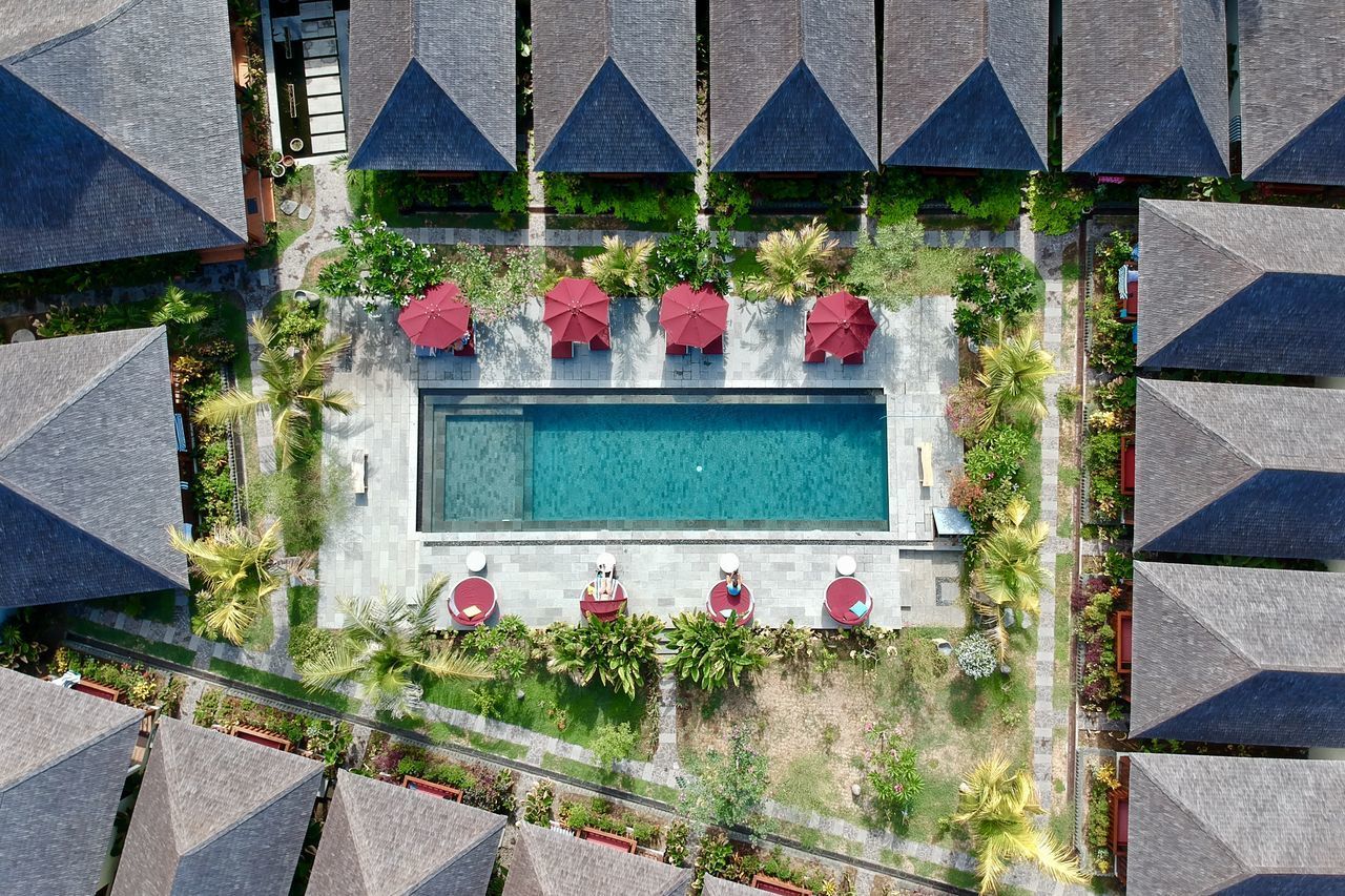 HIGH ANGLE VIEW OF POTTED PLANTS IN SWIMMING POOL BY BUILDING