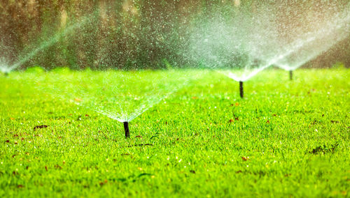 Water drops on green grass in field