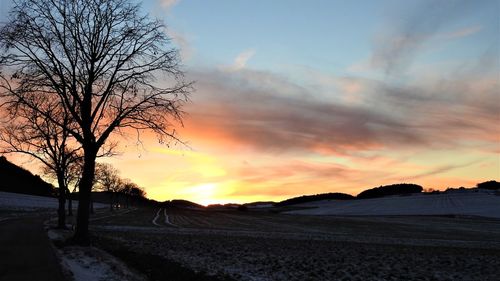 Silhouette bare trees on field against sky at sunset