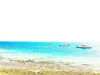 Sailboats in sea against clear sky