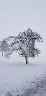 Tree on snow covered field against clear sky