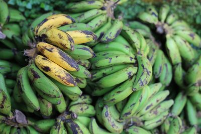 Close-up of fruits for sale in market