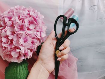 Close-up of hand holding pink flower