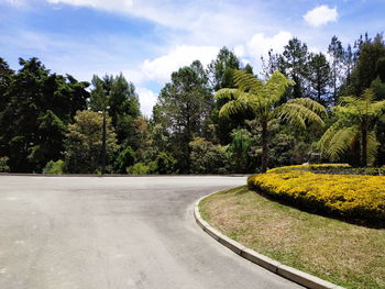 Empty road by trees against sky