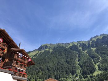 Panoramic view of trees and buildings against sky