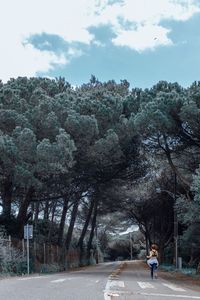 Road passing through trees