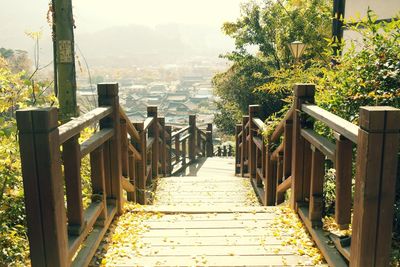 Walkway amidst plants and trees by railing