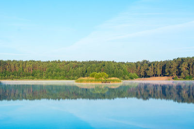 Scenic view of lake in forest against sky