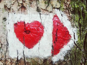 Close-up of red heart shape on tree