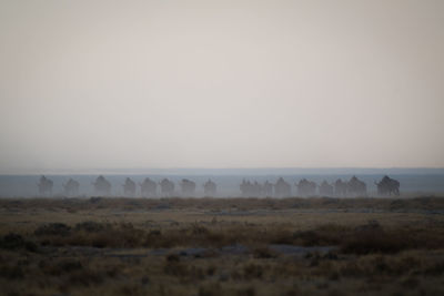 Scenic view of landscape against sky during foggy weather