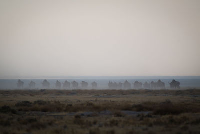 Scenic view of landscape against sky during foggy weather