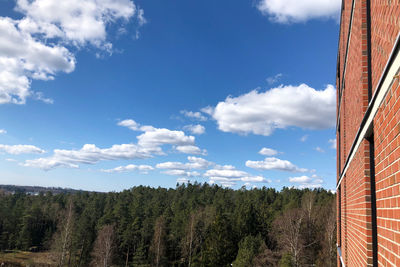Low angle view of trees against sky